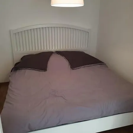 Perfektes Am Dusseldorfer Rhein *